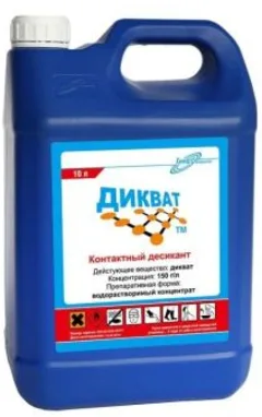 АБСОЛЮЦИД ДИКВАТ канистра п/эт 1л Россия АЛ-ДЕЗ