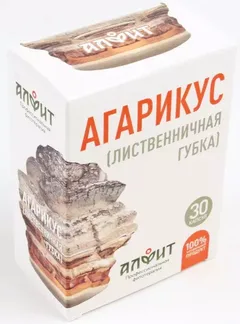 КОНЦЕНТРАТ НА РАСТИТЕЛЬНОМ СЫРЬЕ АГАРИКУС капс 500мг х30 Россия Гален ФЗ