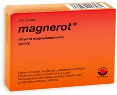 МАГНЕРОТ таб 500мг х100 Германия Mauermann Arzneimittel