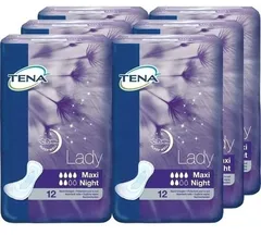 ПРОКЛАДКИ ТЕНА ЛЕДИ нормал х12 Нидерланды SCA Hygiene Products